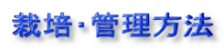 ͔|EǗ@